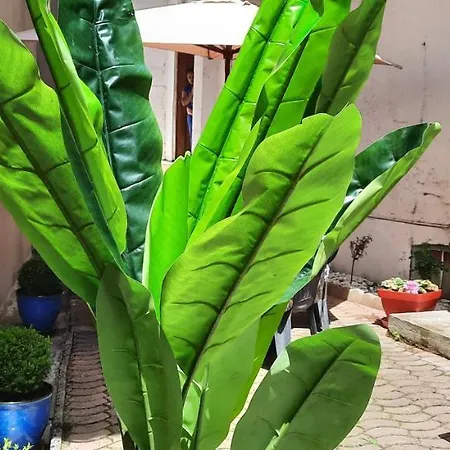 Lamartine Vila Aix-les-Bains