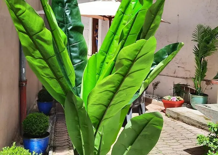 Lamartine Vila Aix-les-Bains